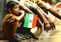India_day_260х180 India_day_260х180